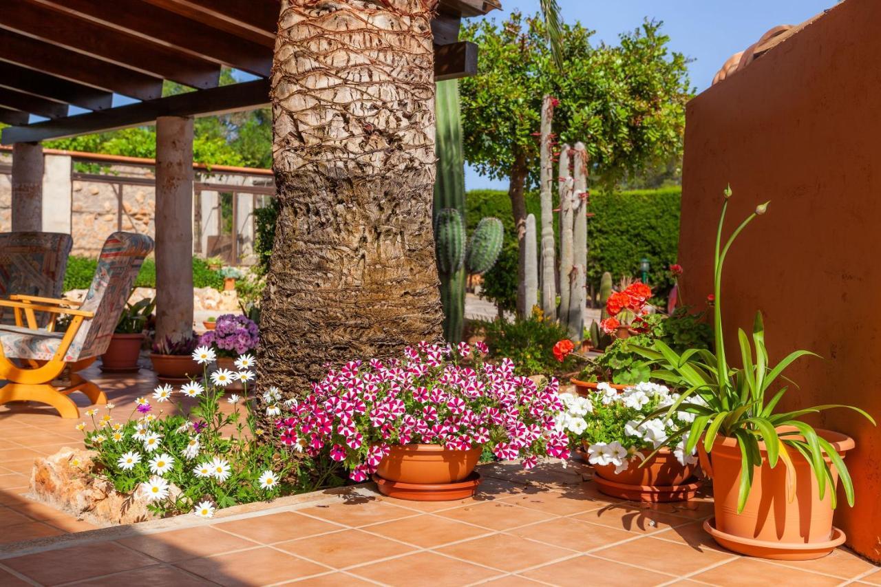 Ses Salines Cottage With Private Pool And Barbecue Εξωτερικό φωτογραφία